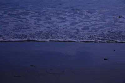 DSC_2233 (Large).JPG